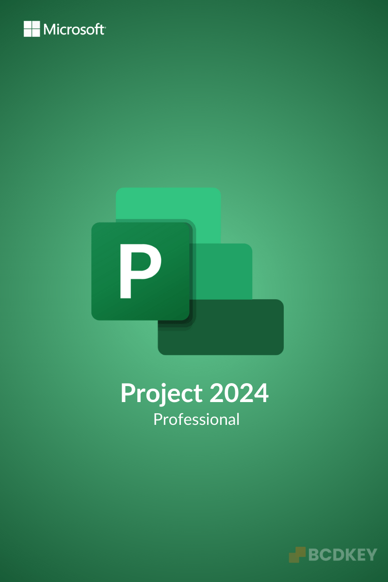 project-2024-pro.png